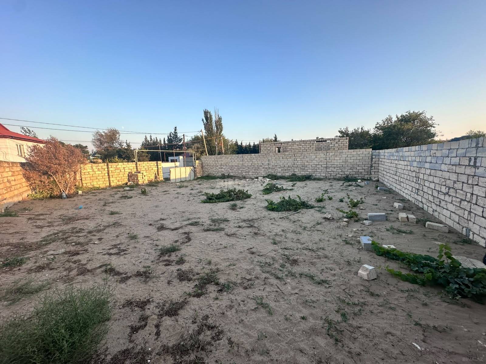 Torpaq Novxanı q., Bakı