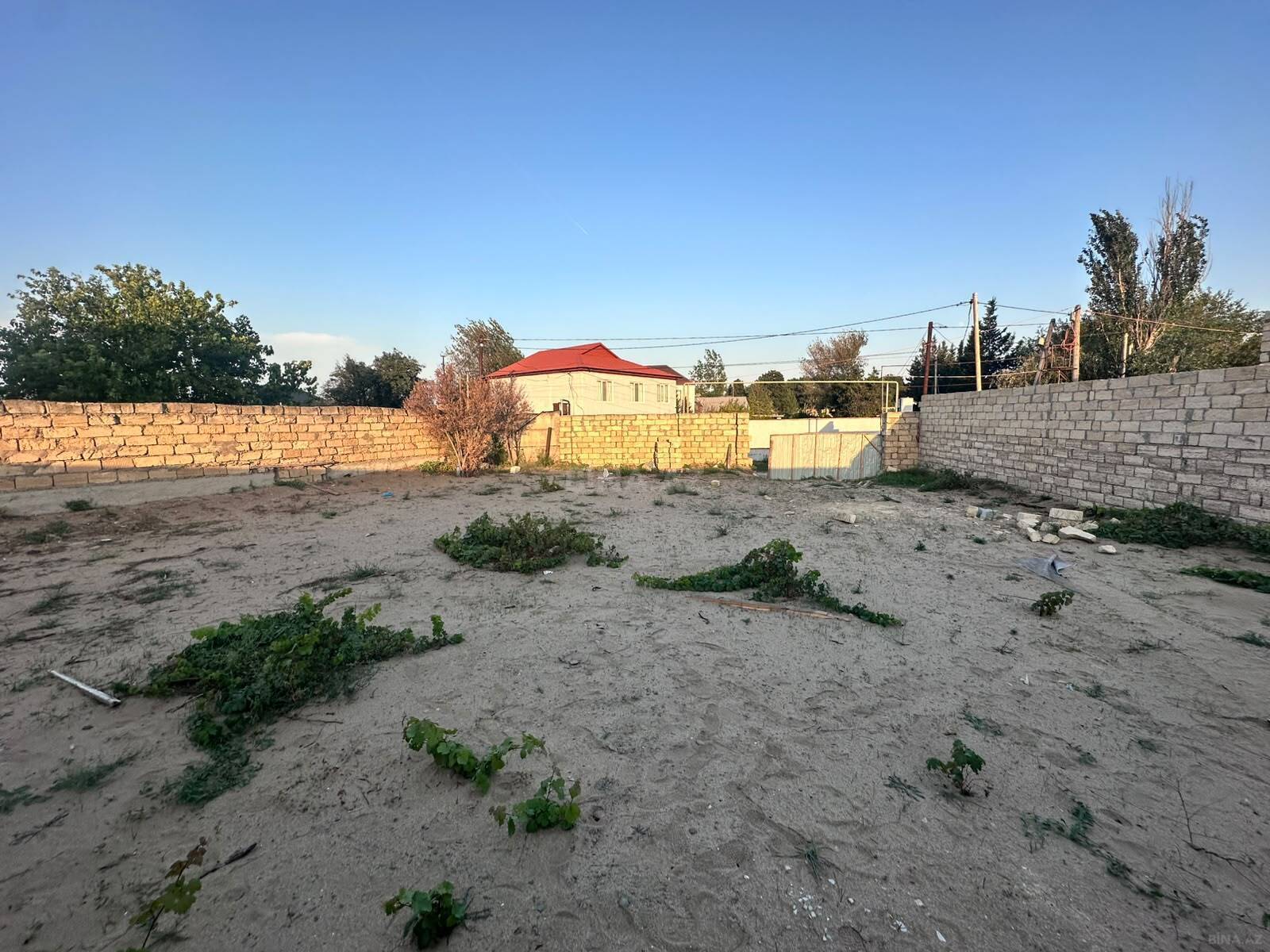 Torpaq Novxanı q., Bakı