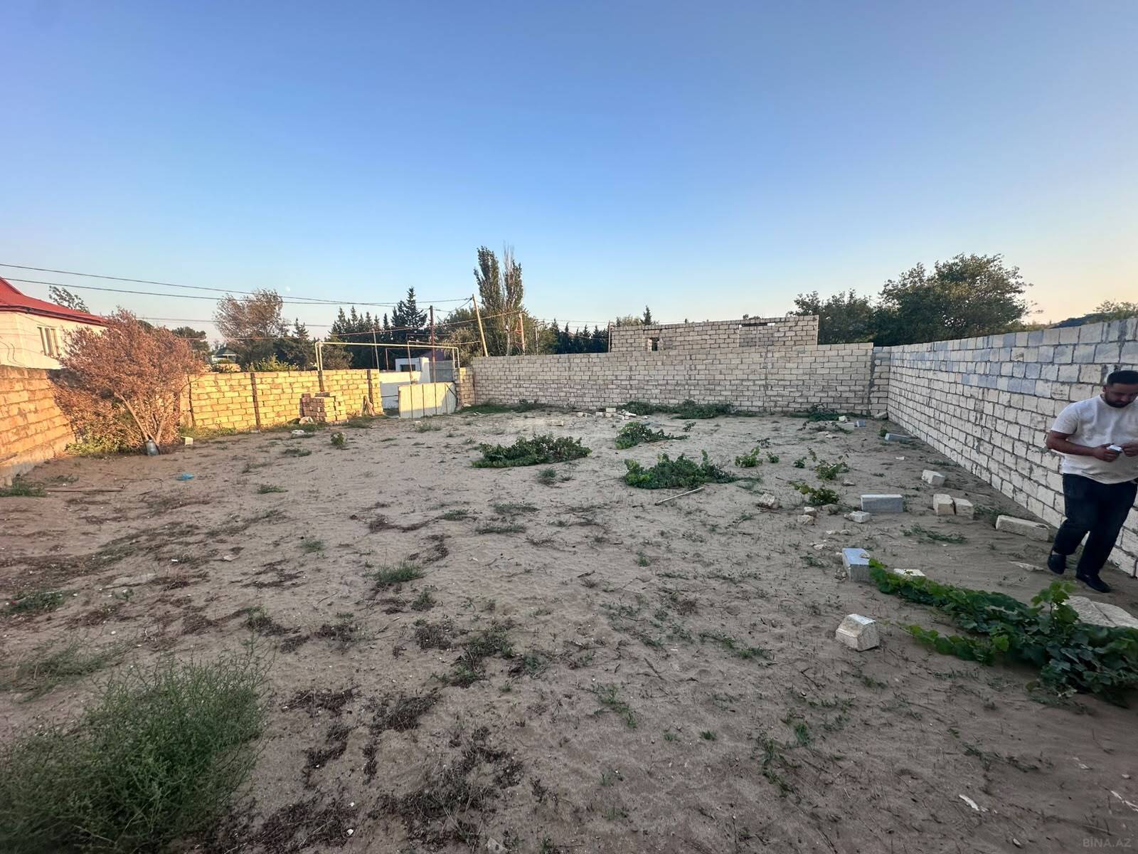 Torpaq Novxanı q., Bakı