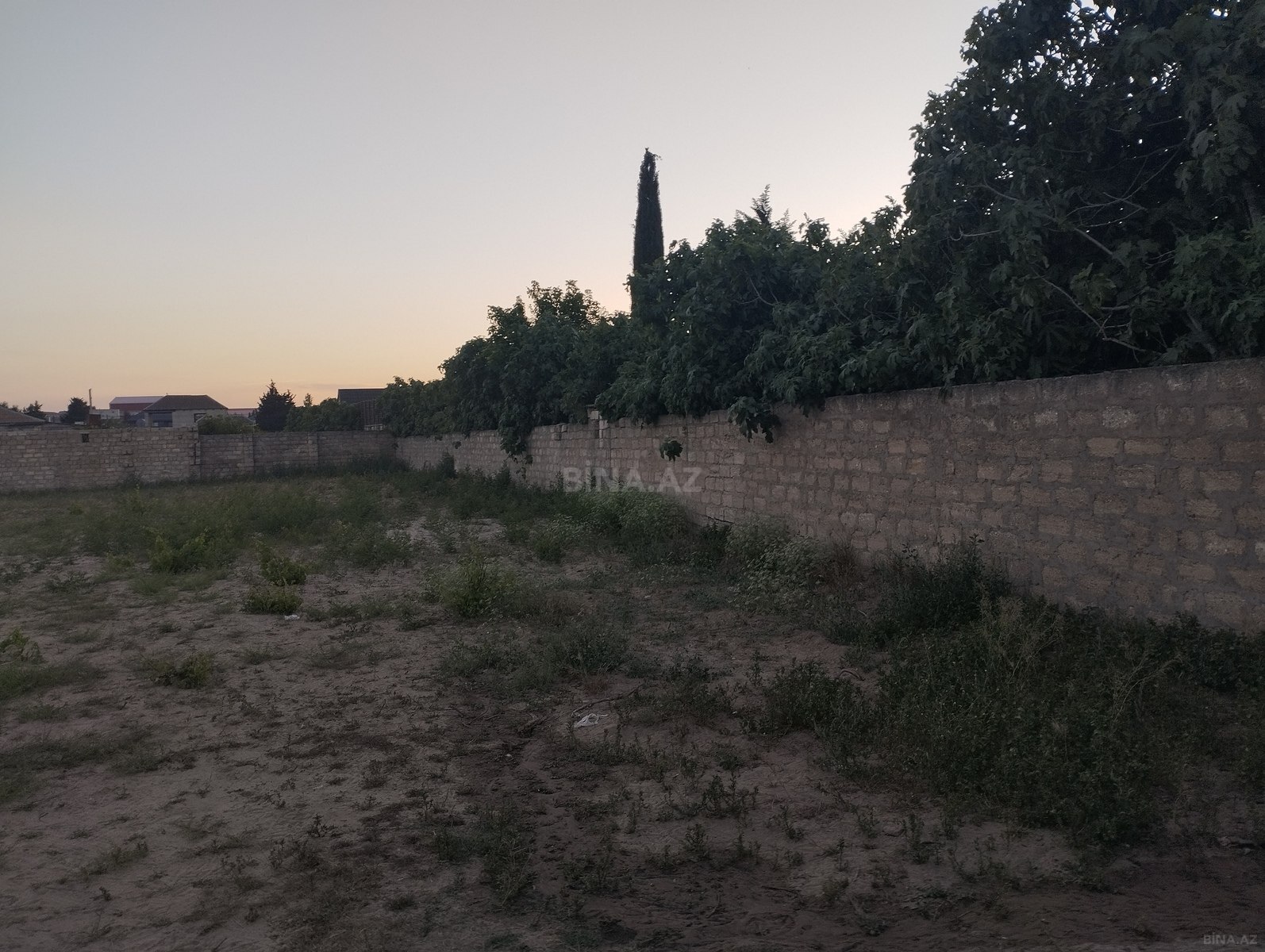 Torpaq Albalılıq q., Bakı