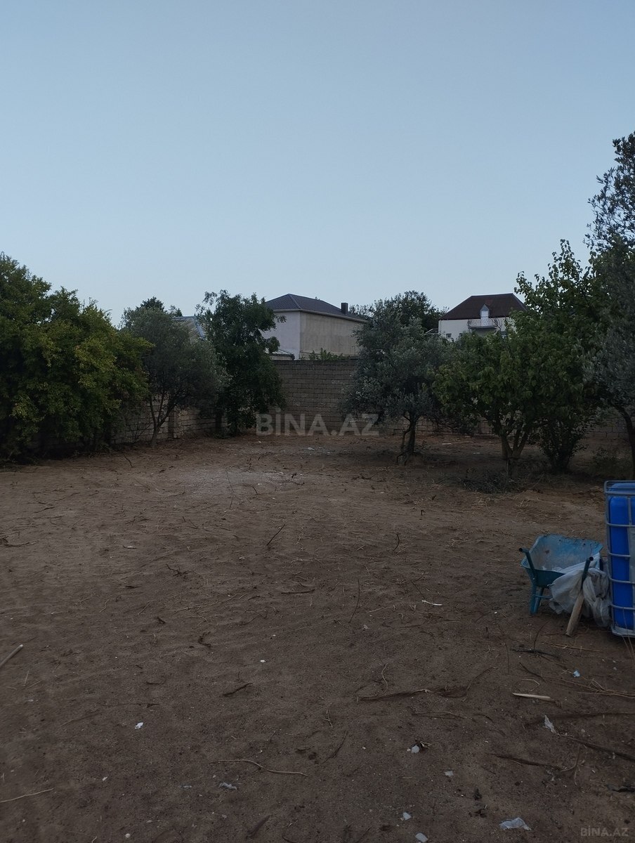 Torpaq Albalılıq q., Bakı