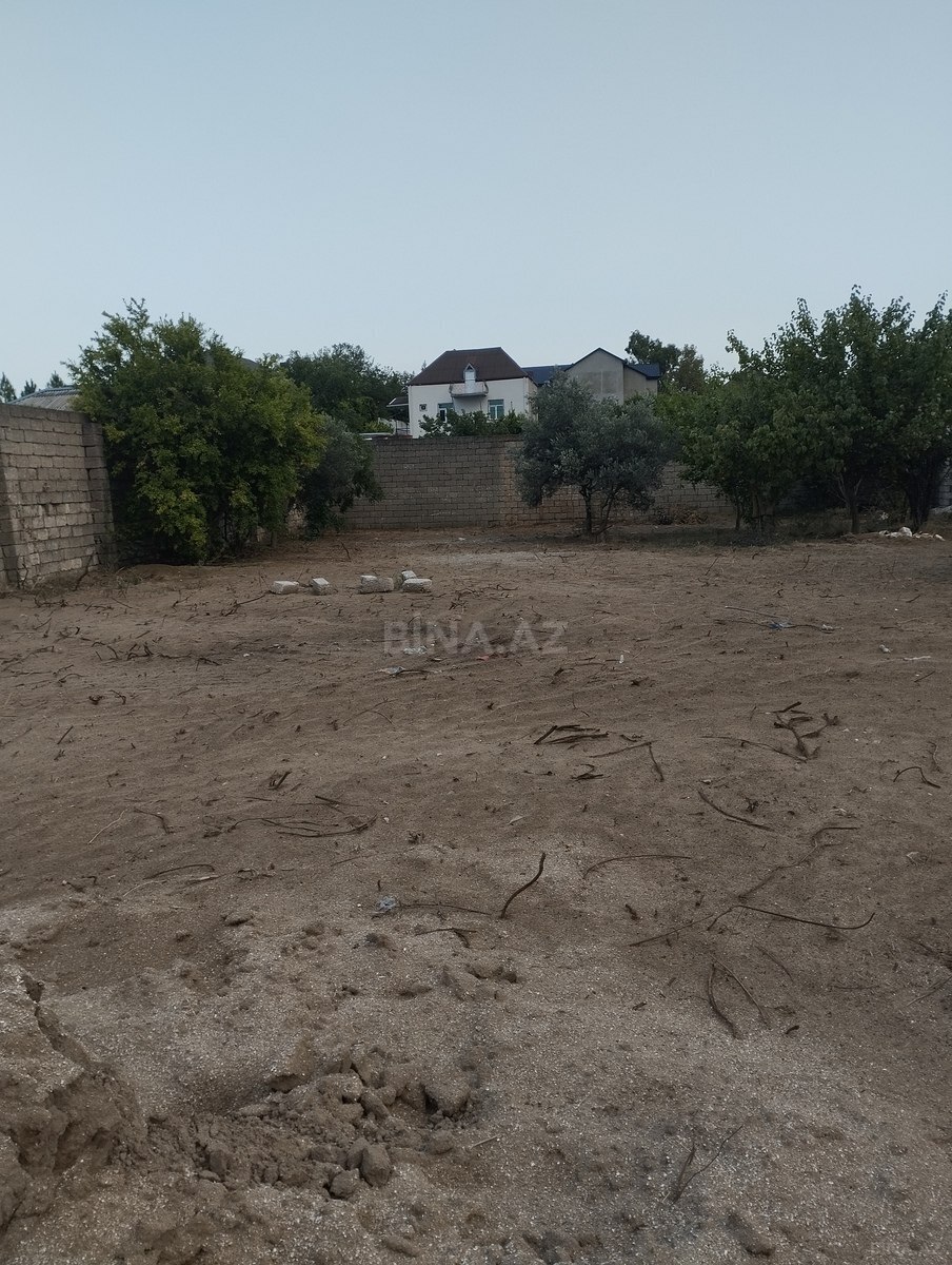 Torpaq Albalılıq q., Bakı