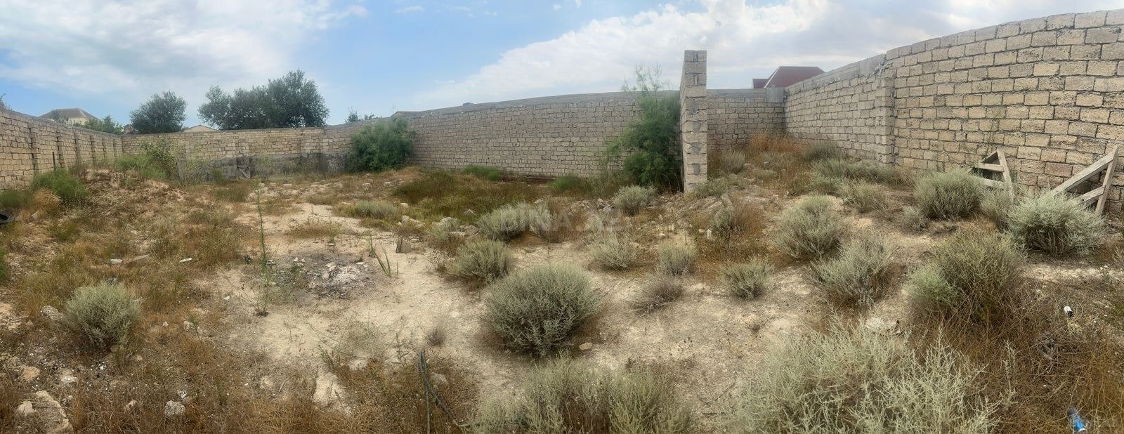 Torpaq Nardaran q., Bakı