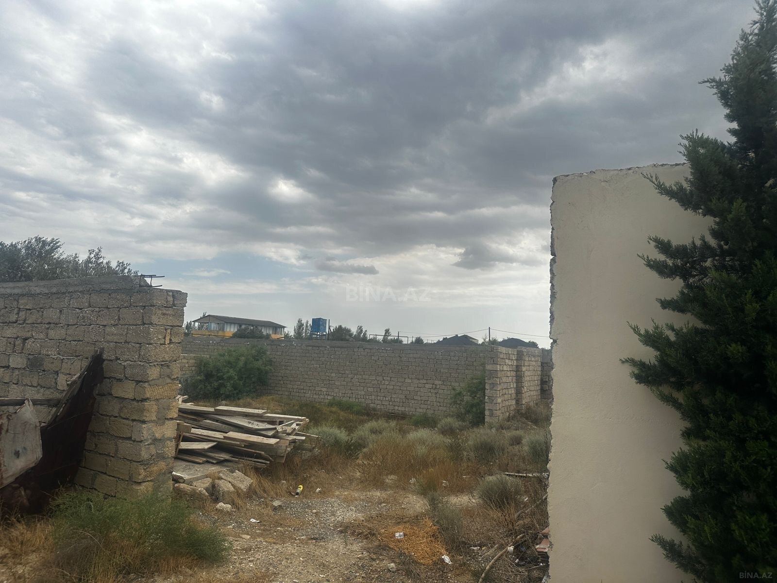Torpaq Nardaran q., Bakı