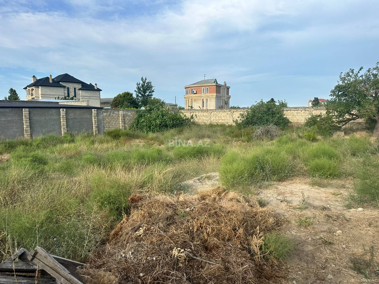 Torpaq Badamdar q., Bakı