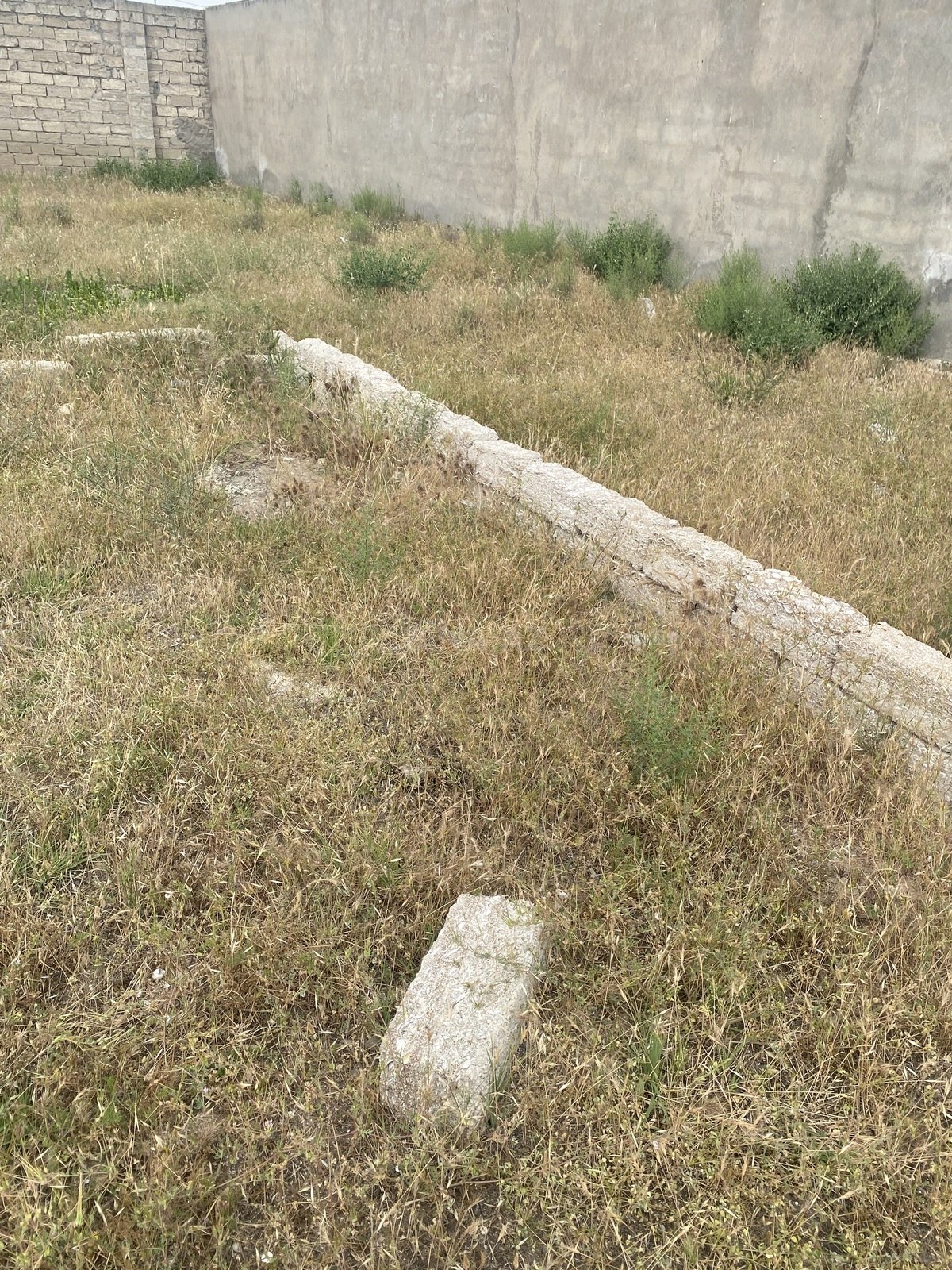 Torpaq Buzovna q., Bakı