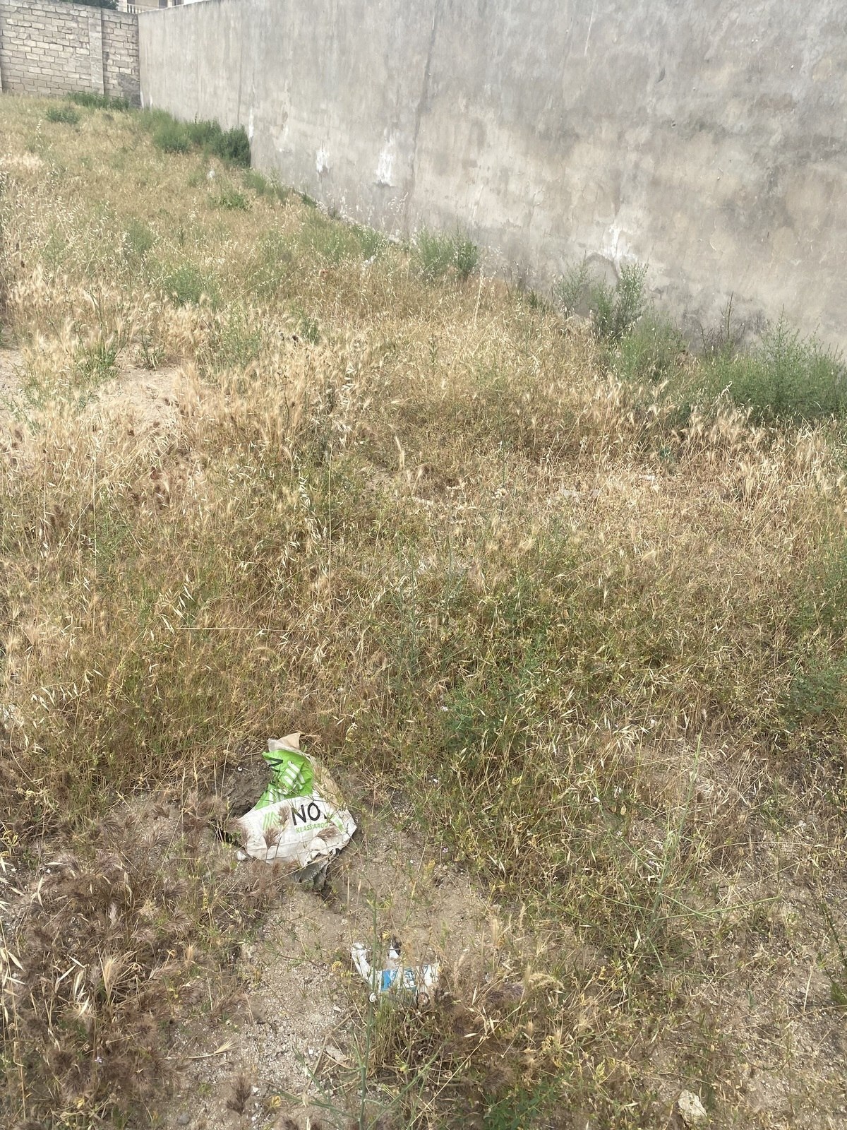 Torpaq Buzovna q., Bakı