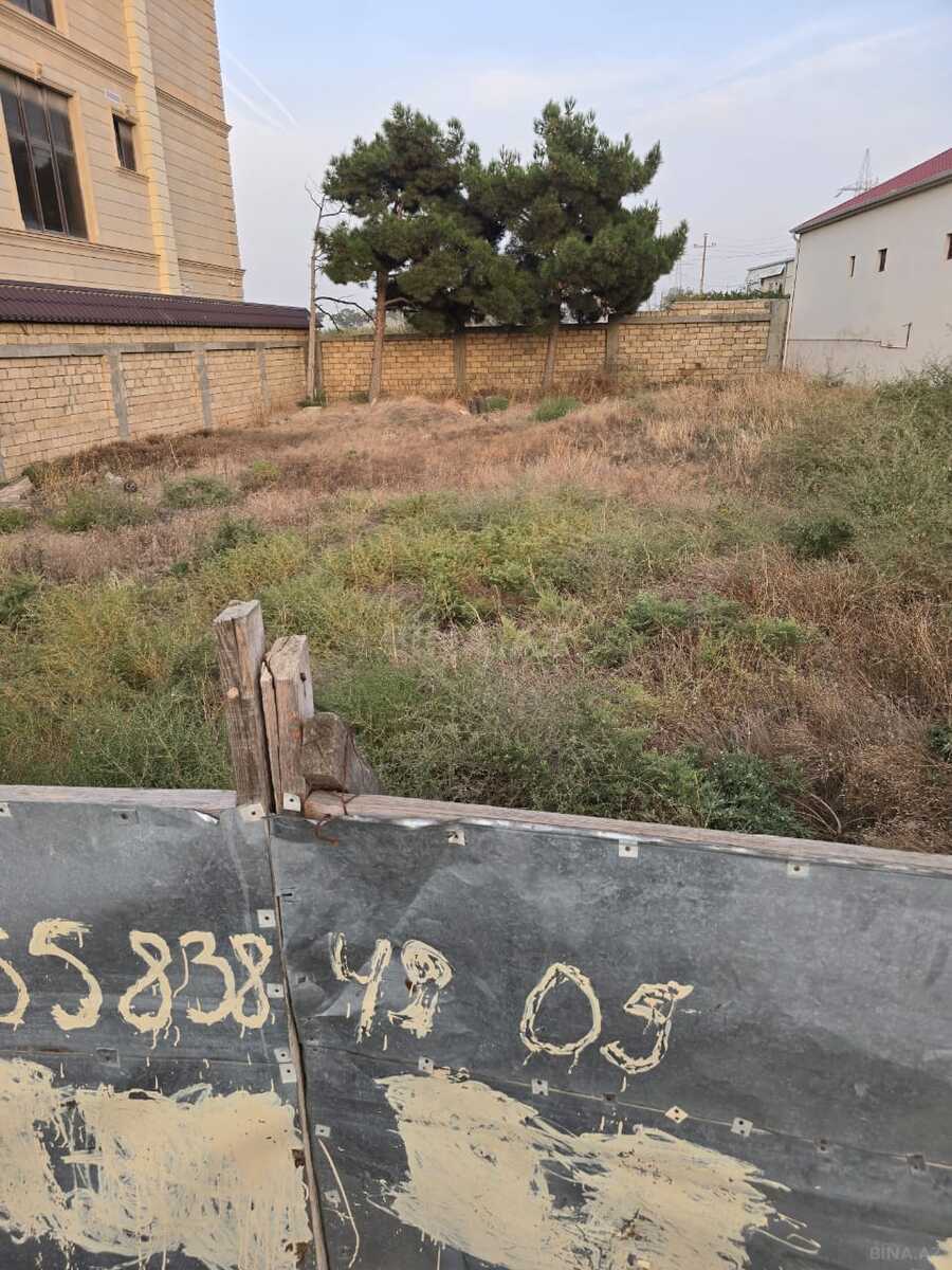 Torpaq Hökməli q., Bakı