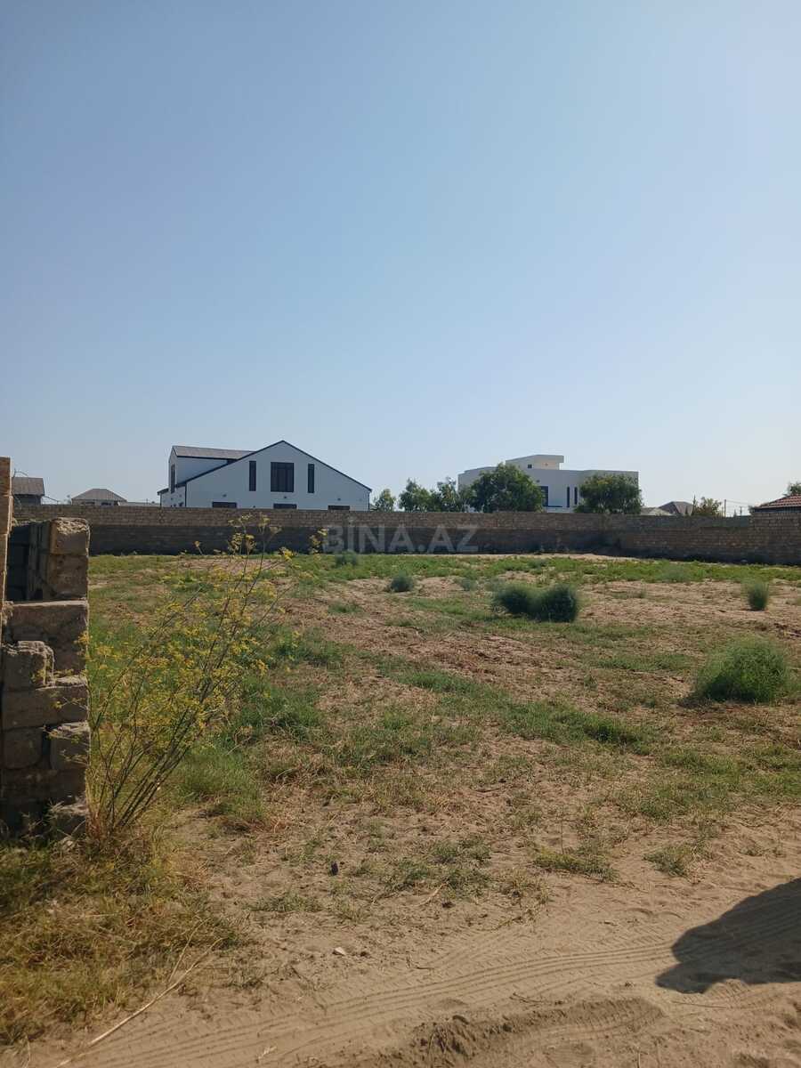 Torpaq Nardaran q., Bakı