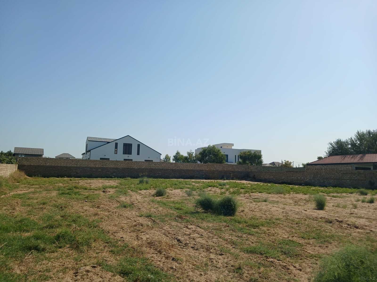Torpaq Nardaran q., Bakı