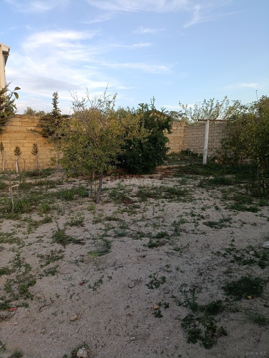 Torpaq Maştağa q., Bakı