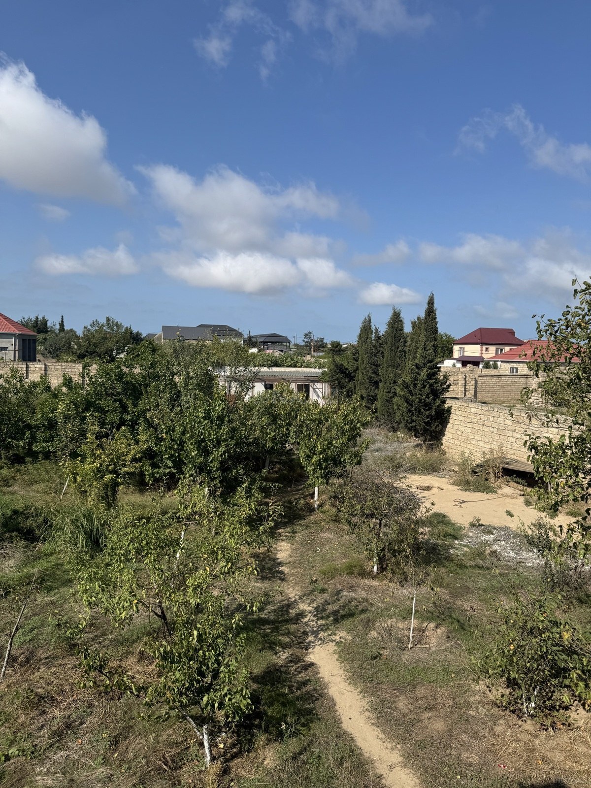 Torpaq Albalılıq q., Bakı