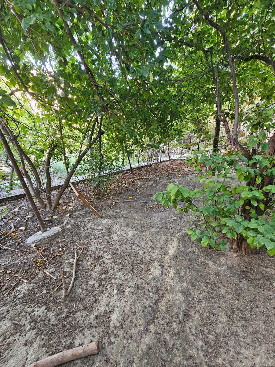 Torpaq Nəsimi m., Bakı