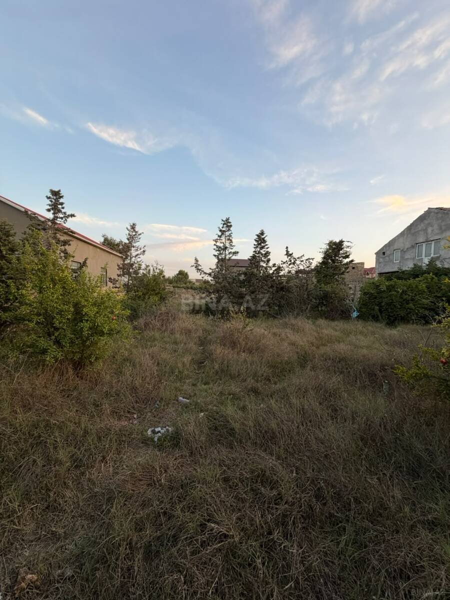 Torpaq Mərdəkan q., Bakı