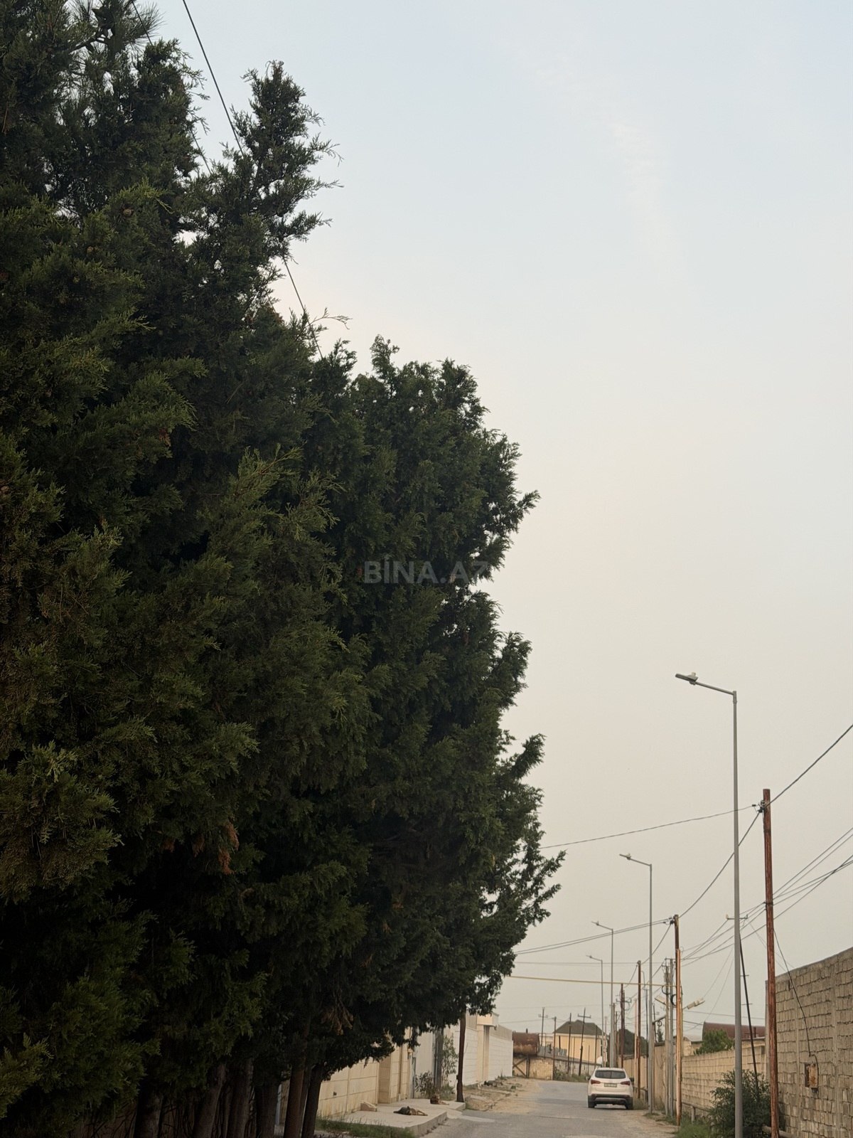 Torpaq Bilgəh q., Bakı