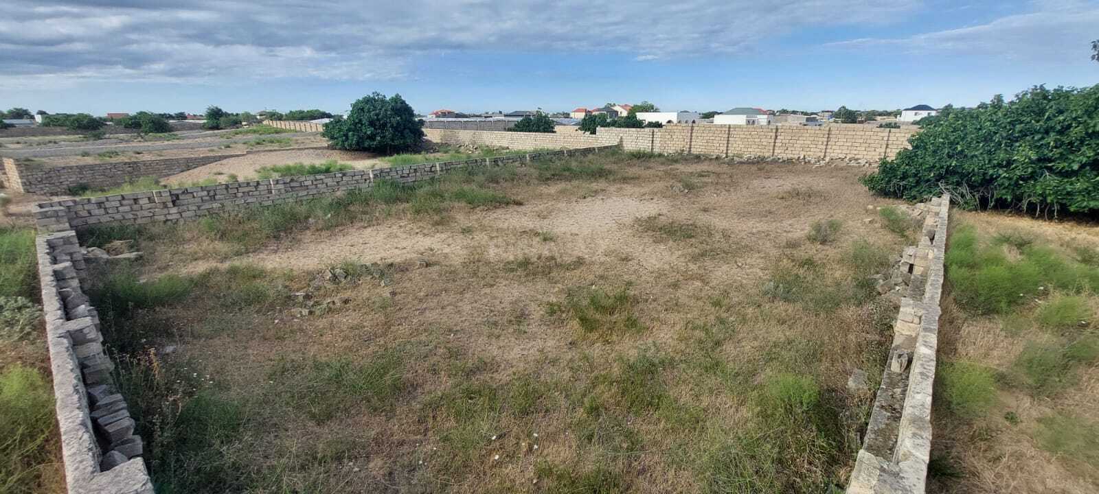 Torpaq Nardaran q., Bakı