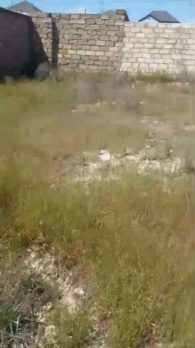 Torpaq Məmmədli q., Bakı