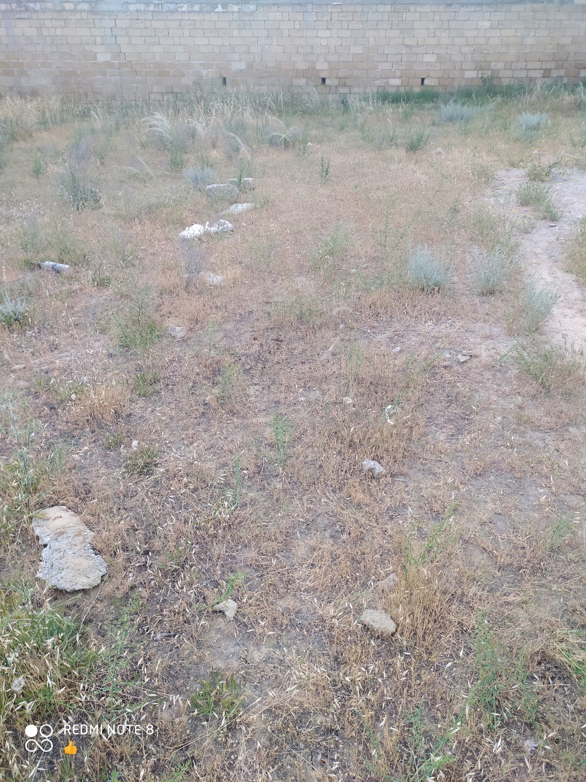 Torpaq Ələt q., Bakı