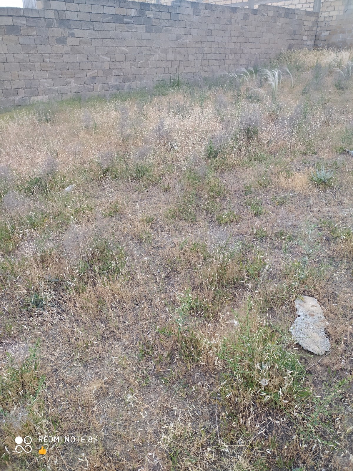 Torpaq Ələt q., Bakı