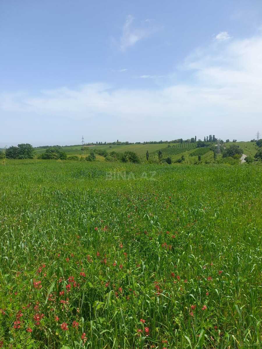 Torpaq Quba