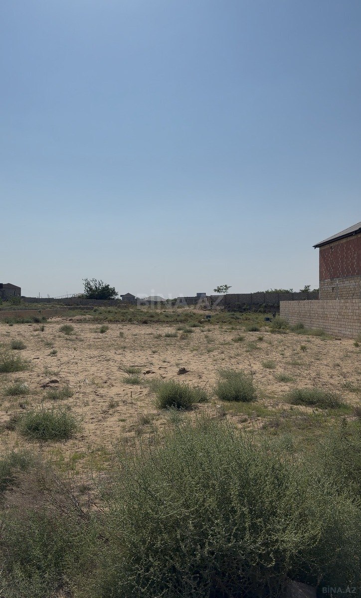 Torpaq Nardaran q., Bakı