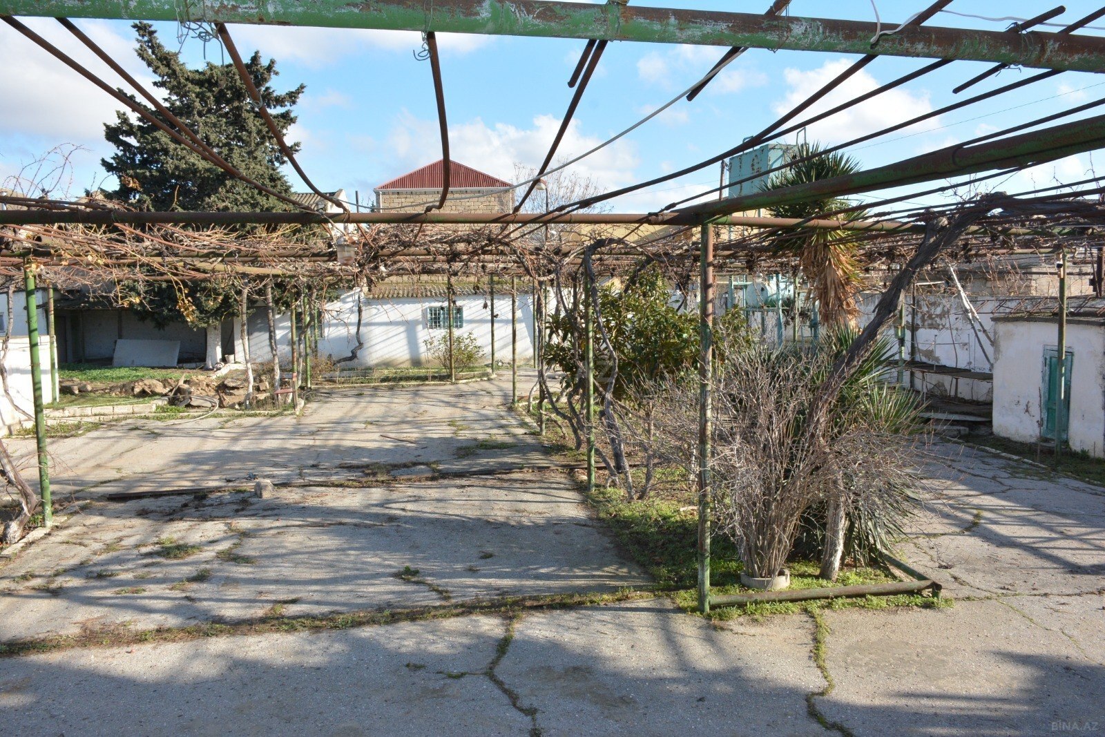 Torpaq Əmircan q., Bakı
