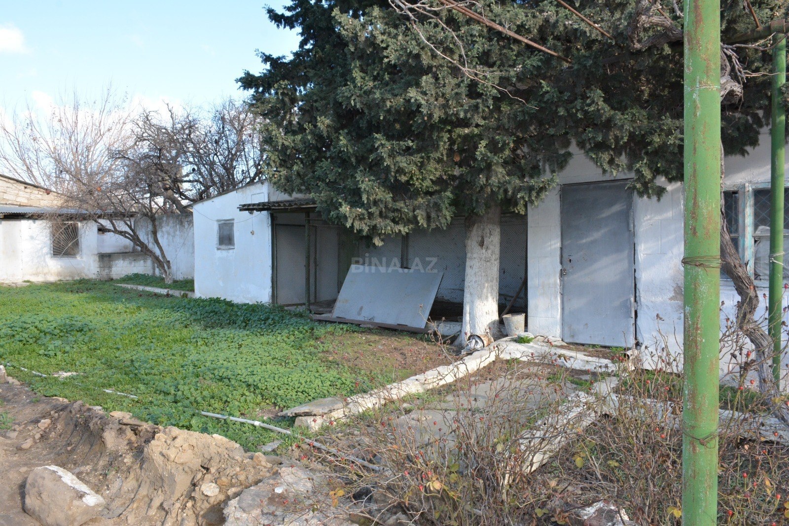 Torpaq Əmircan q., Bakı
