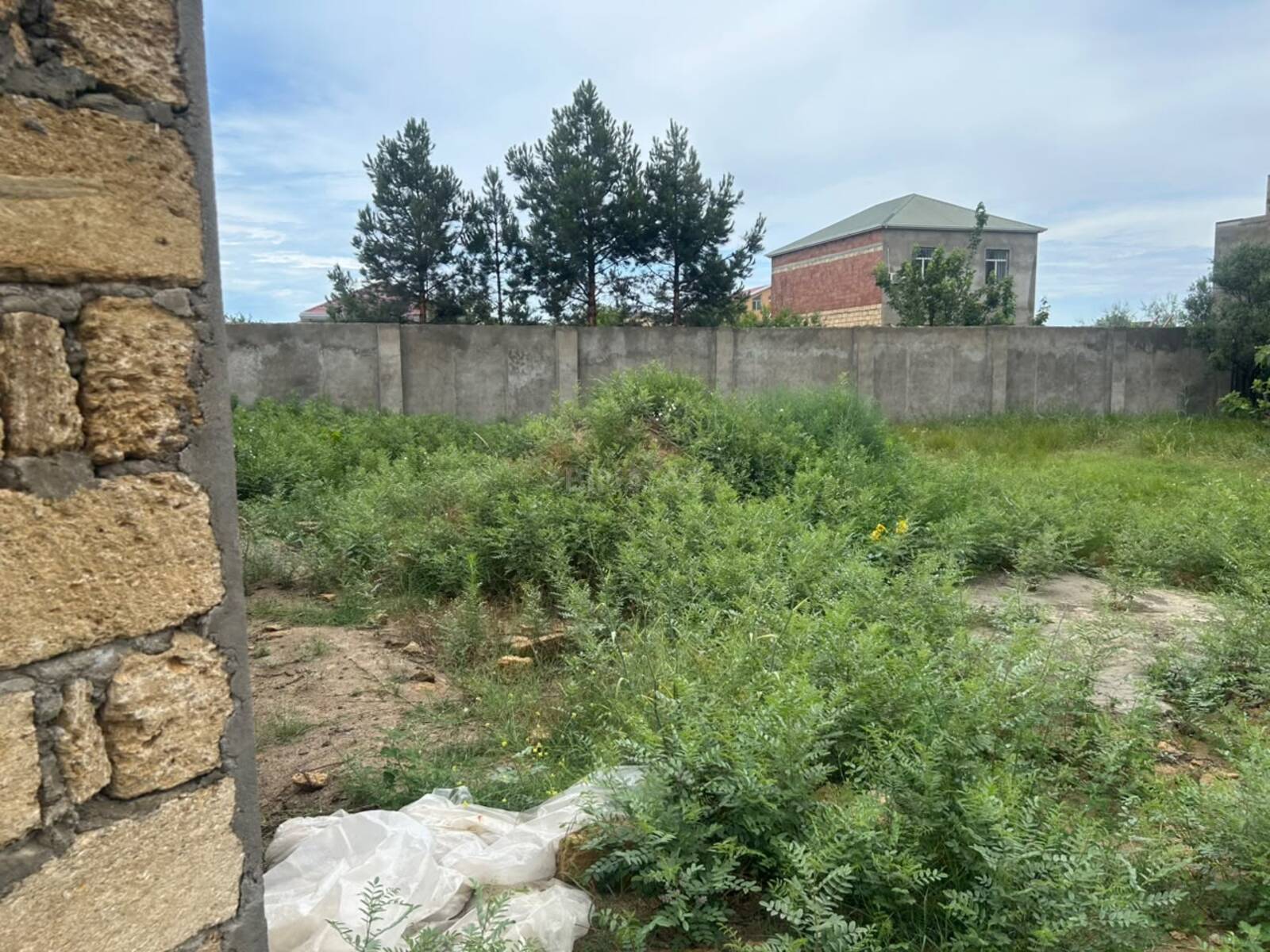 Torpaq Novxanı q., Bakı