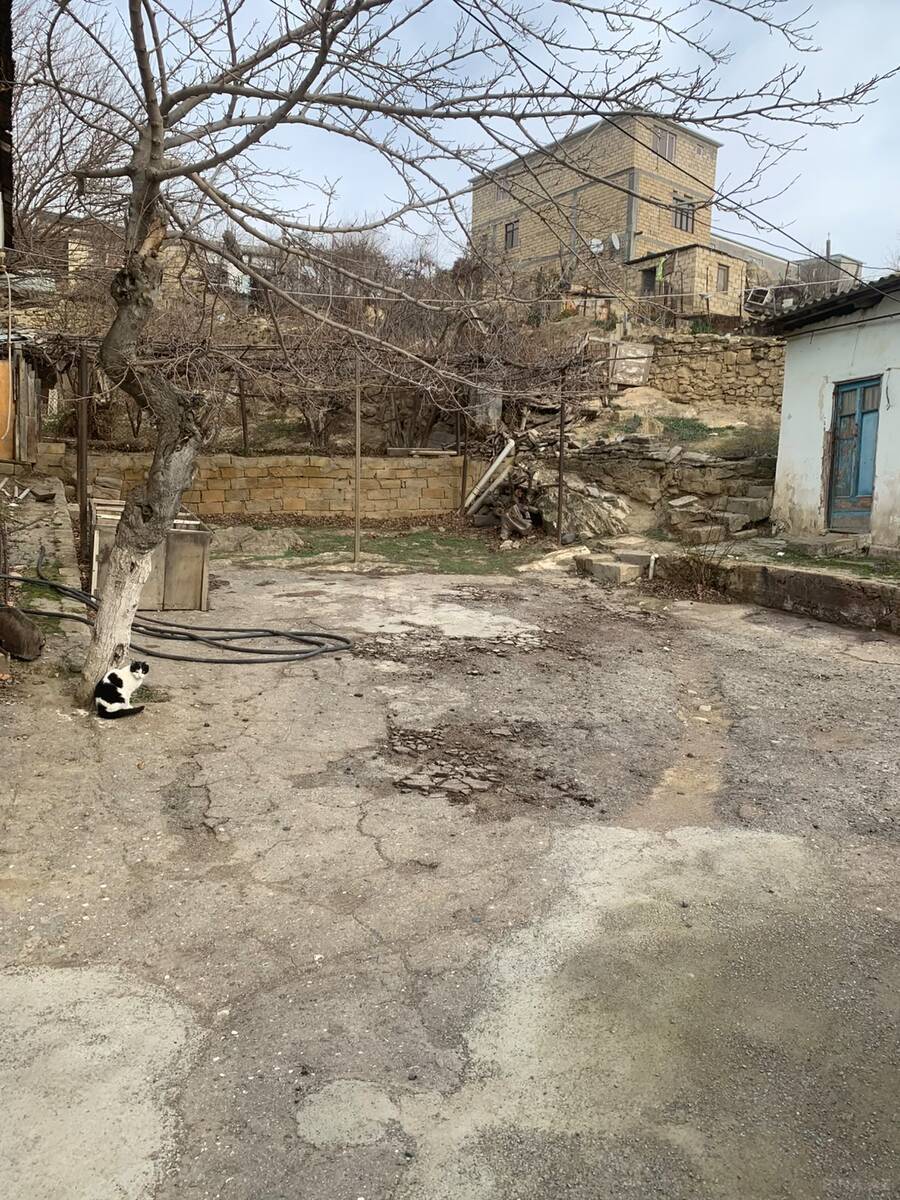 Torpaq Lökbatan q., Bakı