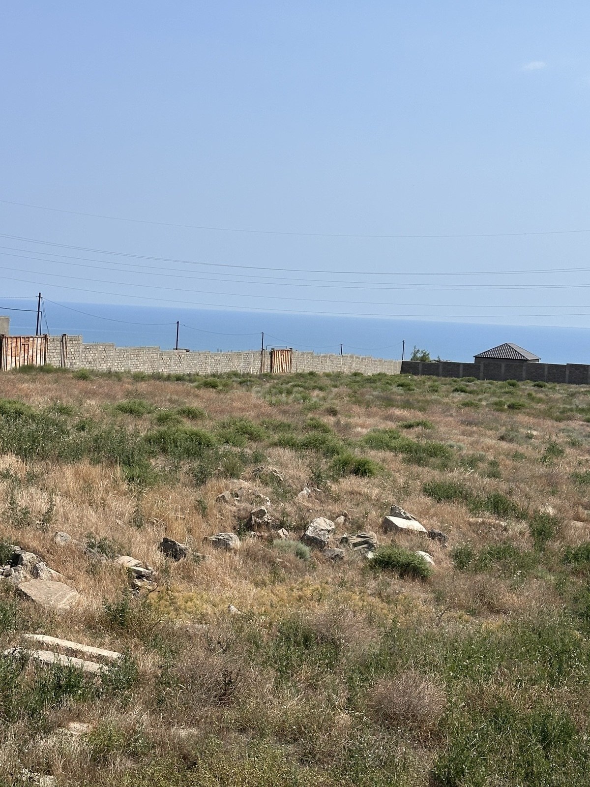 Torpaq Badamdar q., Bakı