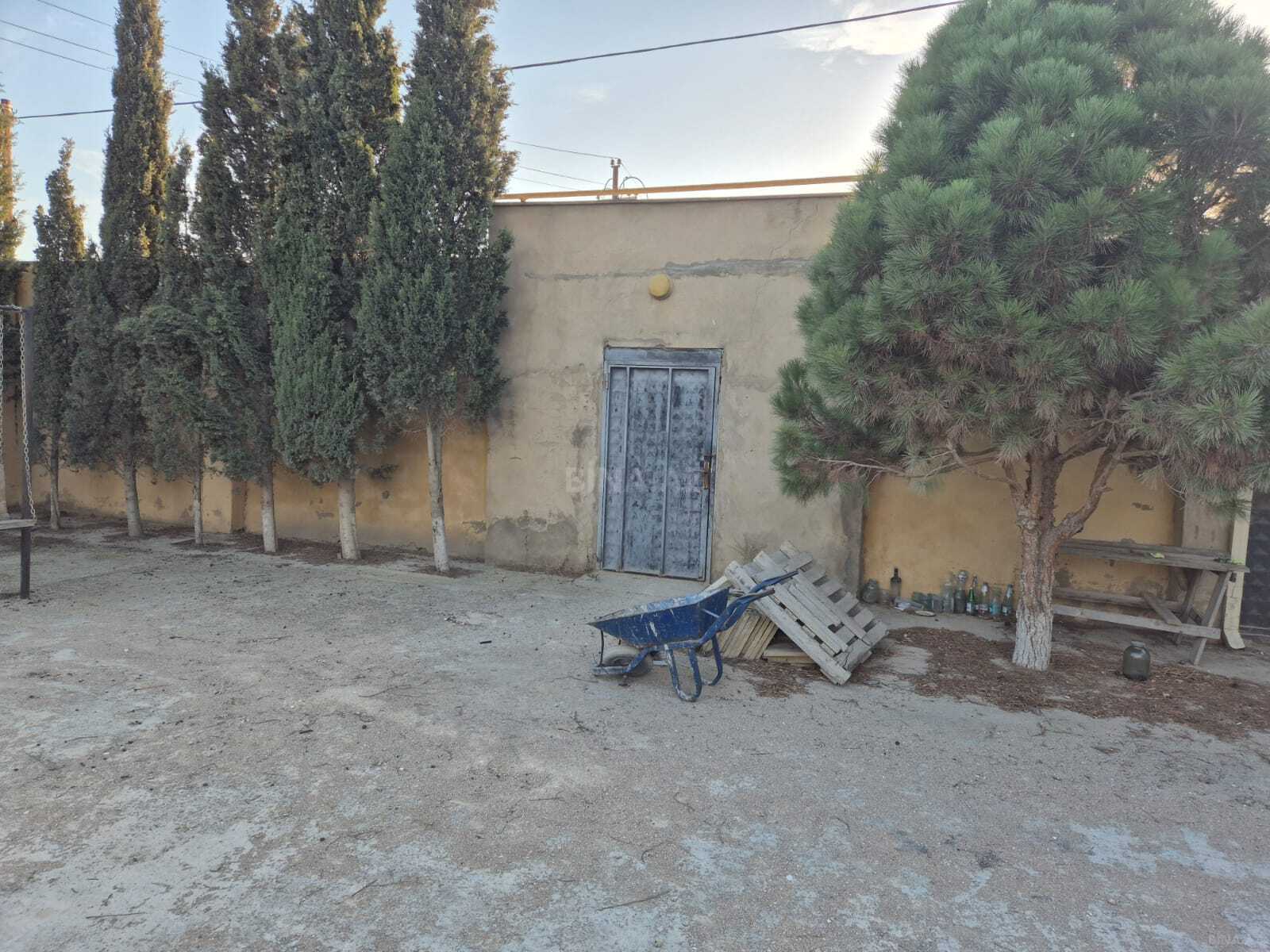 Torpaq Qala q., Bakı