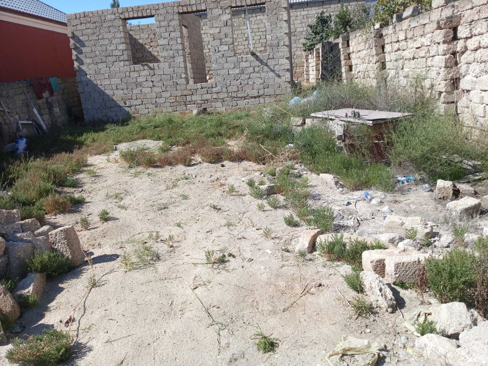 Torpaq Binə q., Bakı