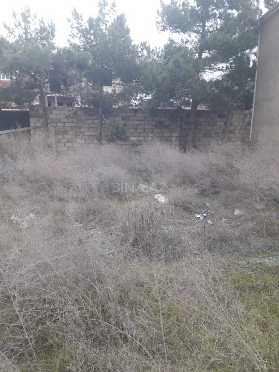 Torpaq Yeni Ramana q., Bakı