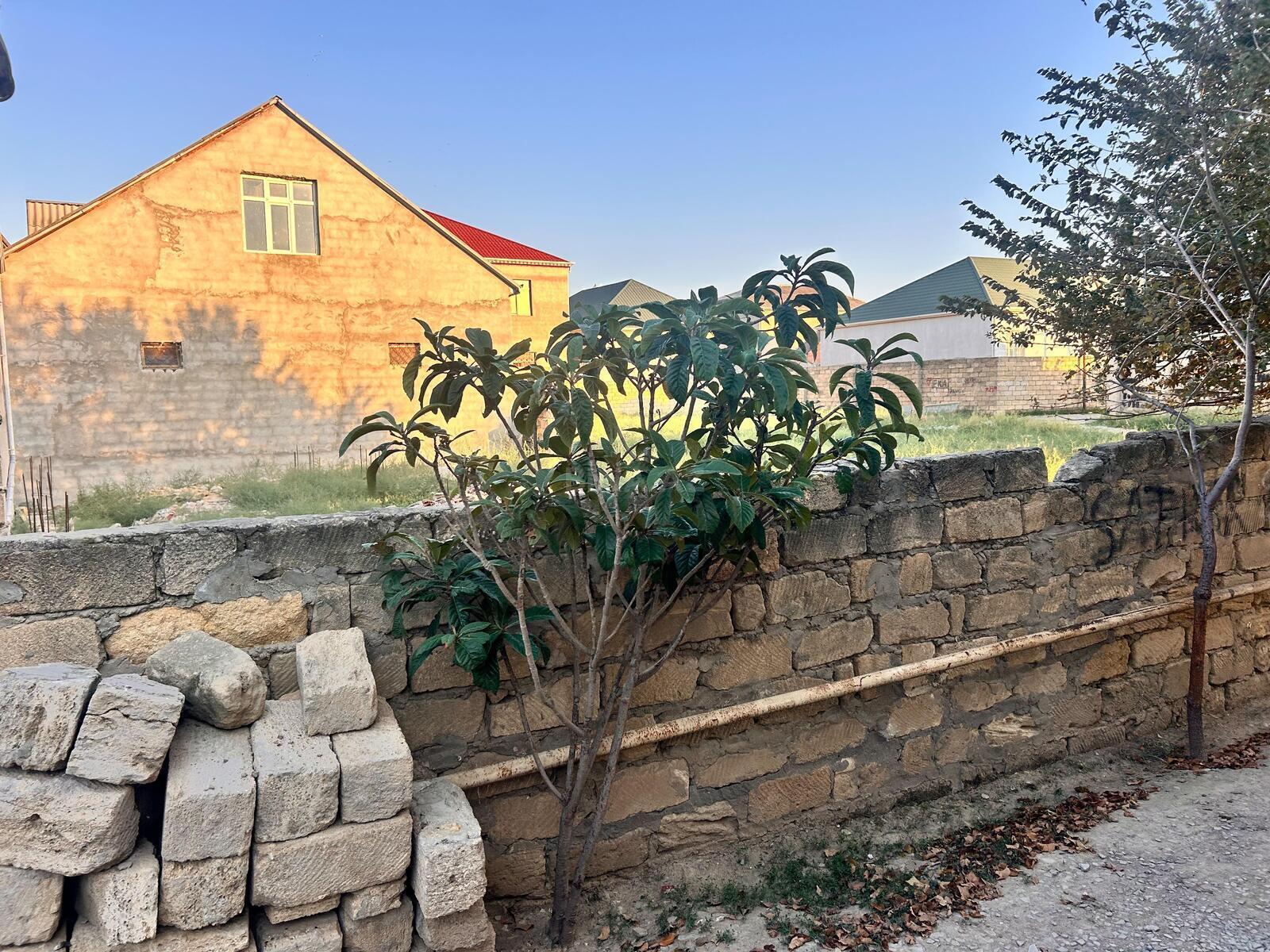 Torpaq Binəqədi q., Bakı