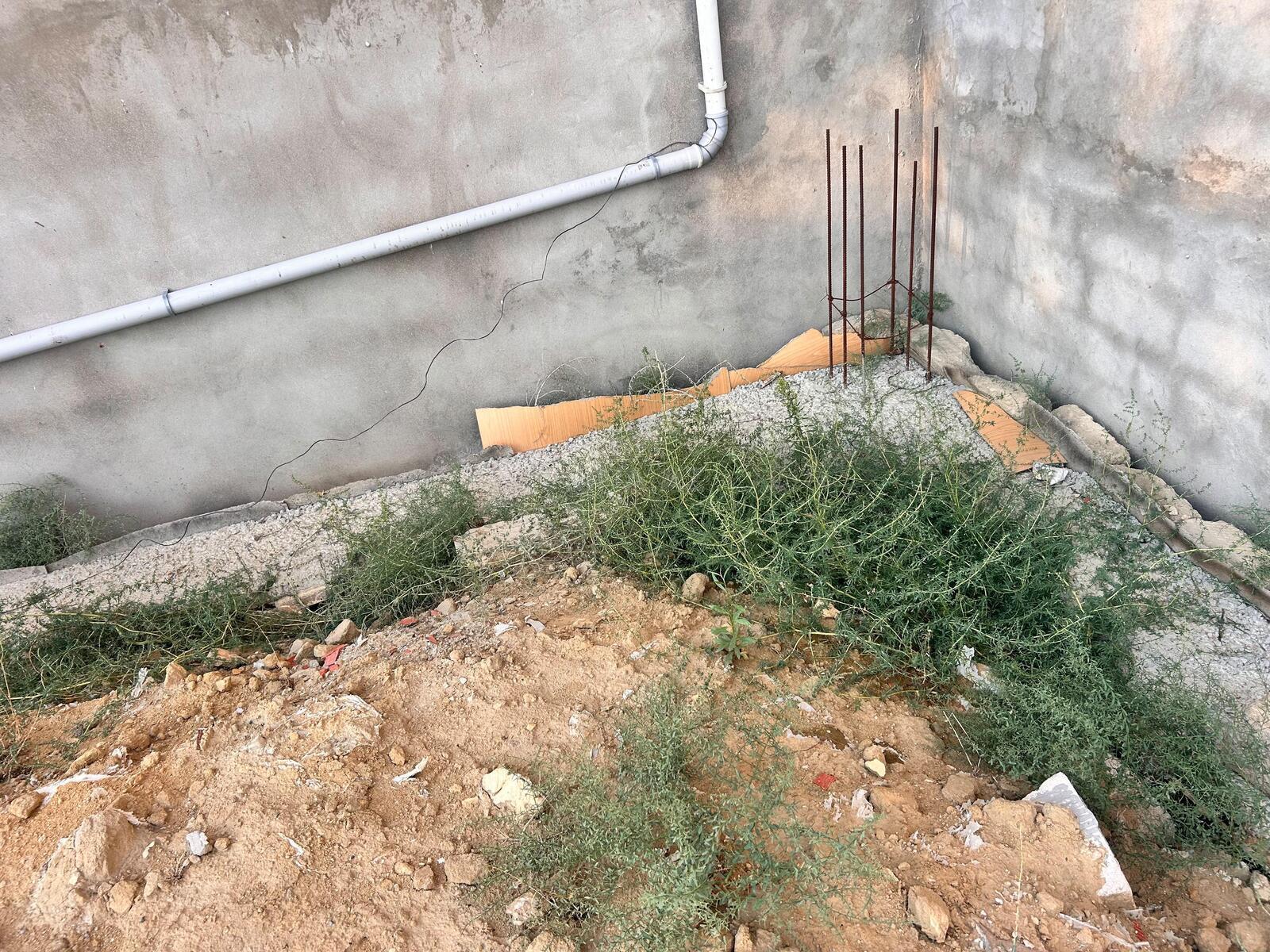 Torpaq Binəqədi q., Bakı