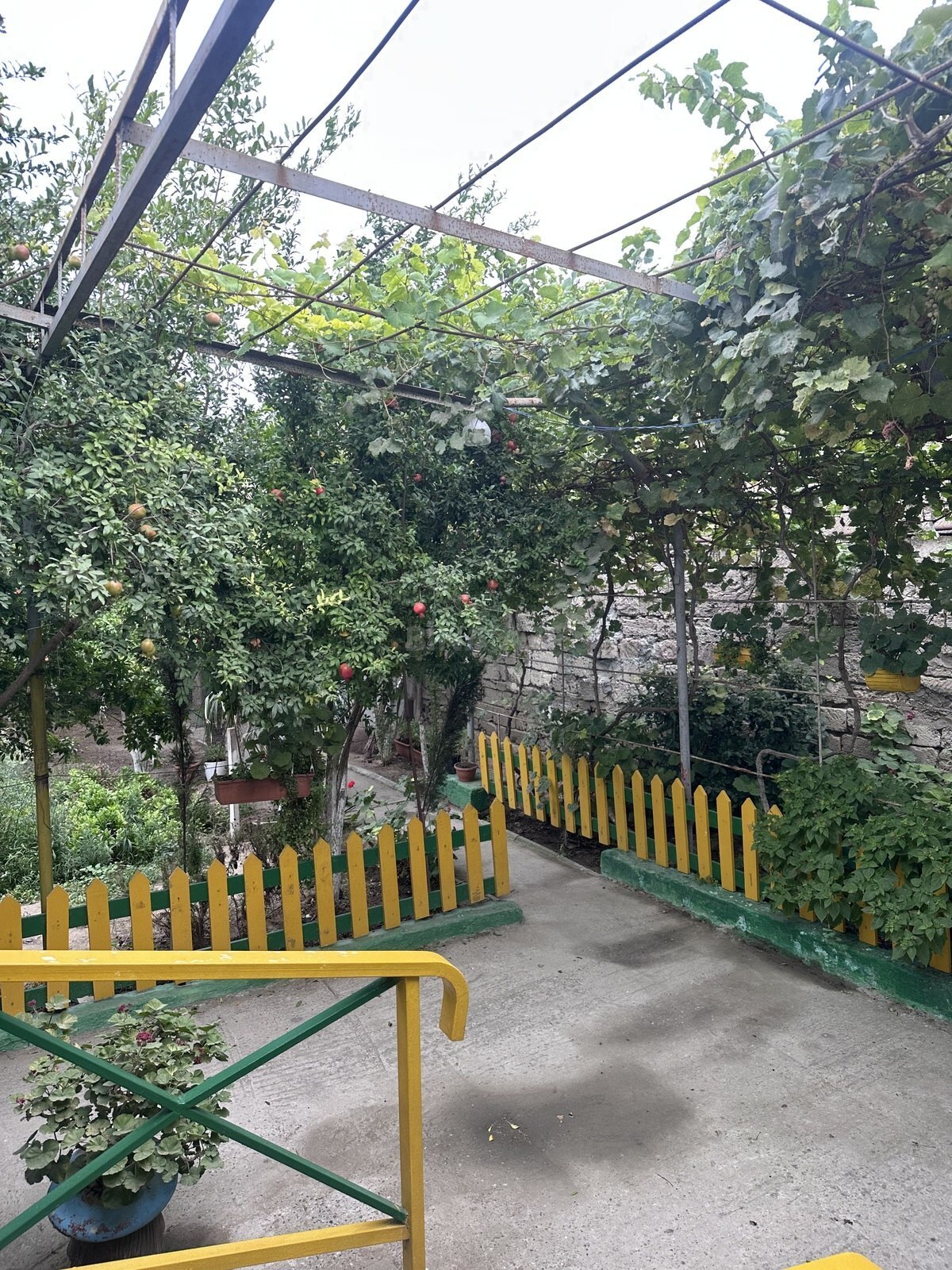 4 otaqlı Həyət evi/Bağ evi, Şüvəlan q., Bakı
