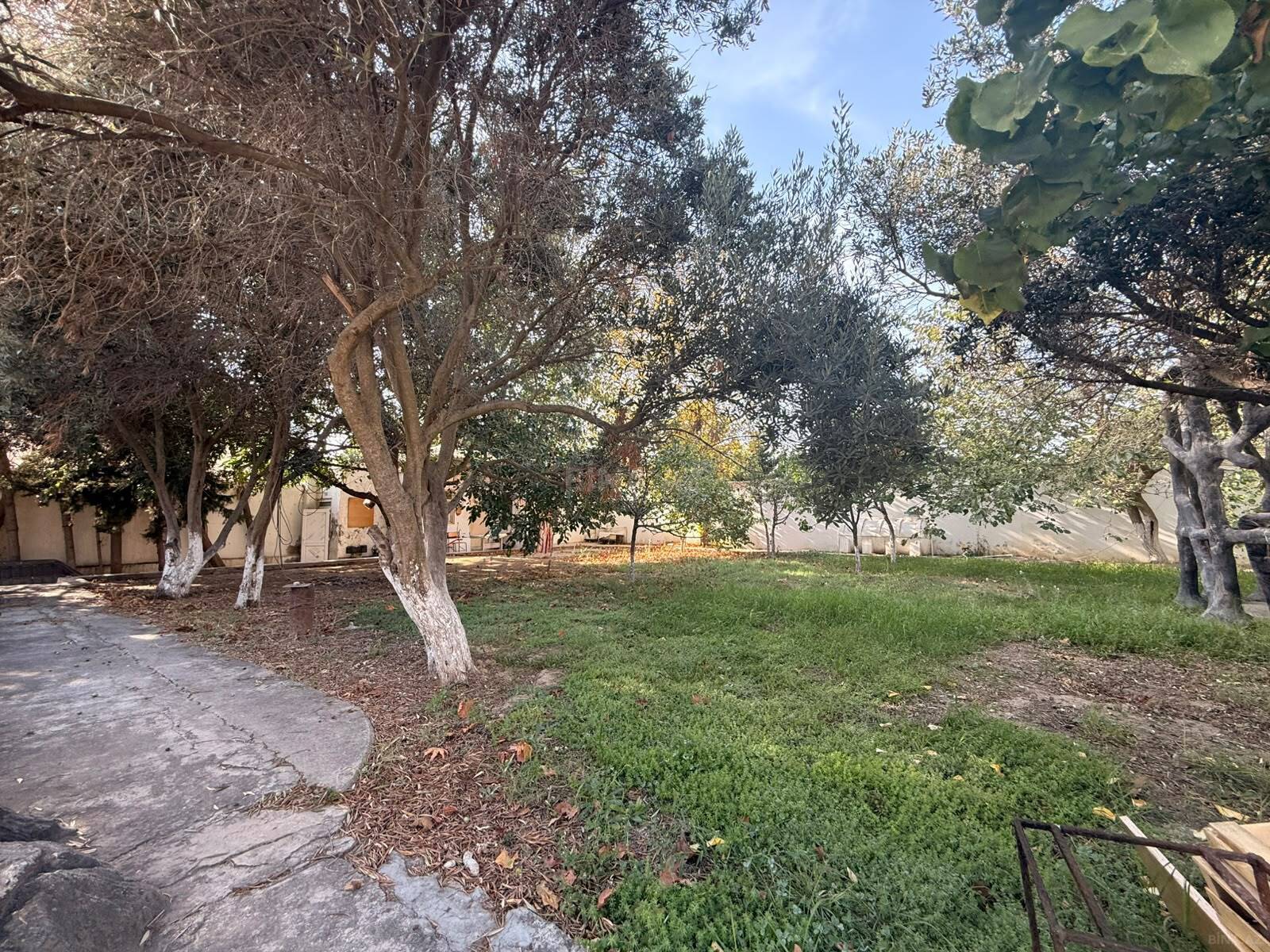 Torpaq Mərdəkan q., Bakı