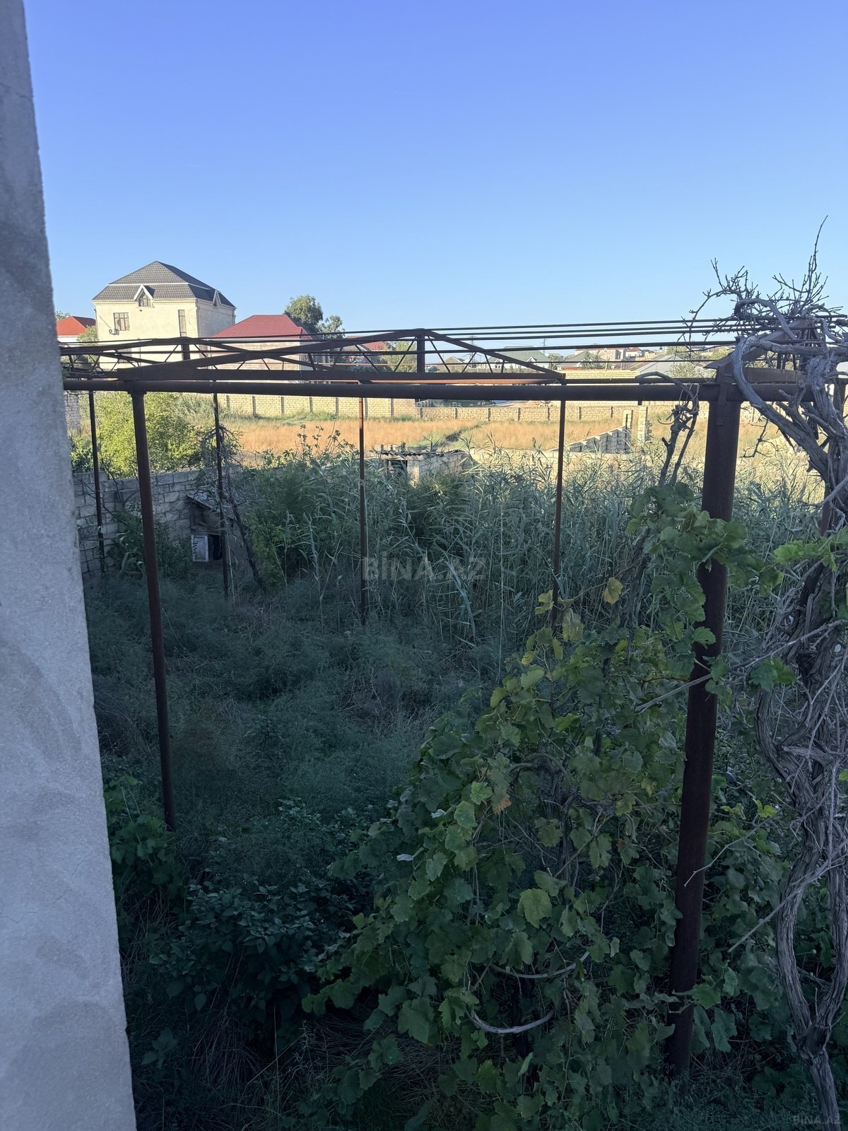 Torpaq Masazır q., Bakı