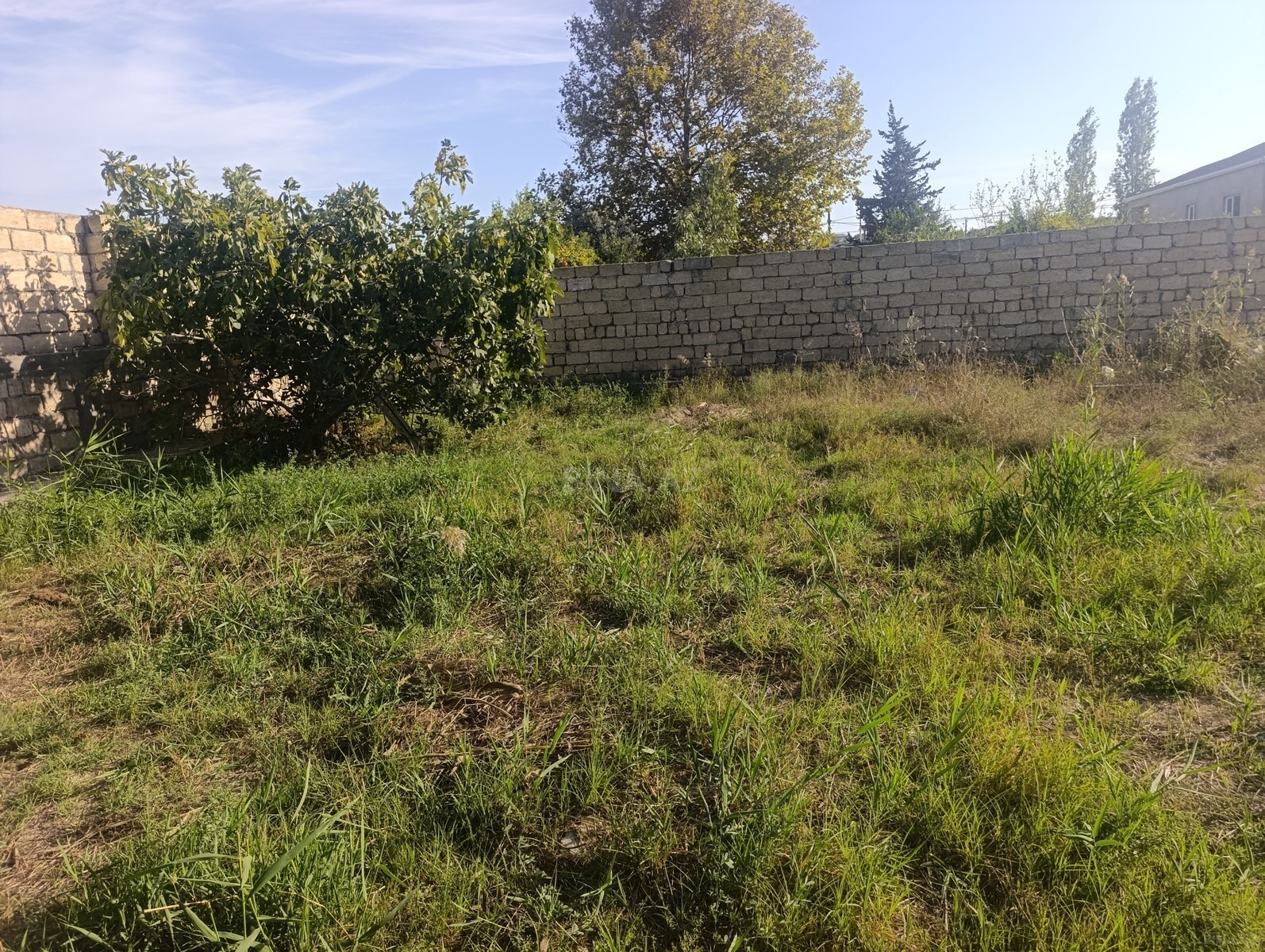 Torpaq Novxanı q., Bakı