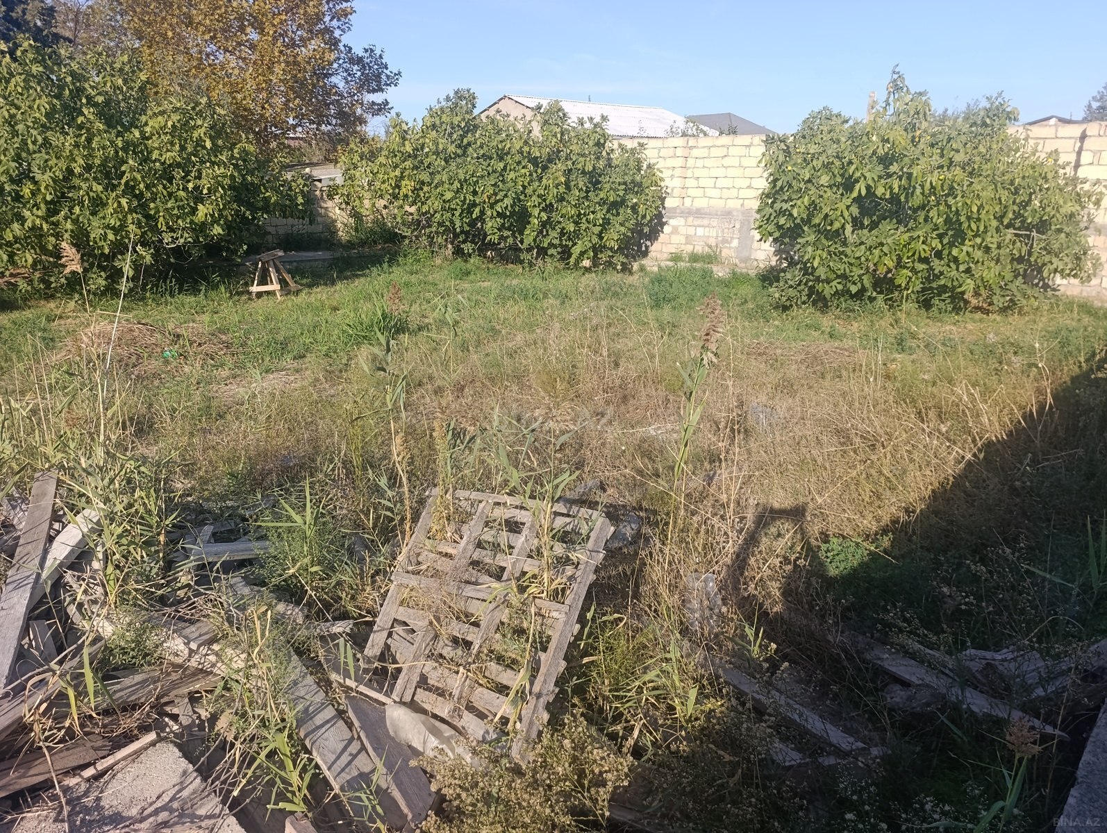 Torpaq Novxanı q., Bakı