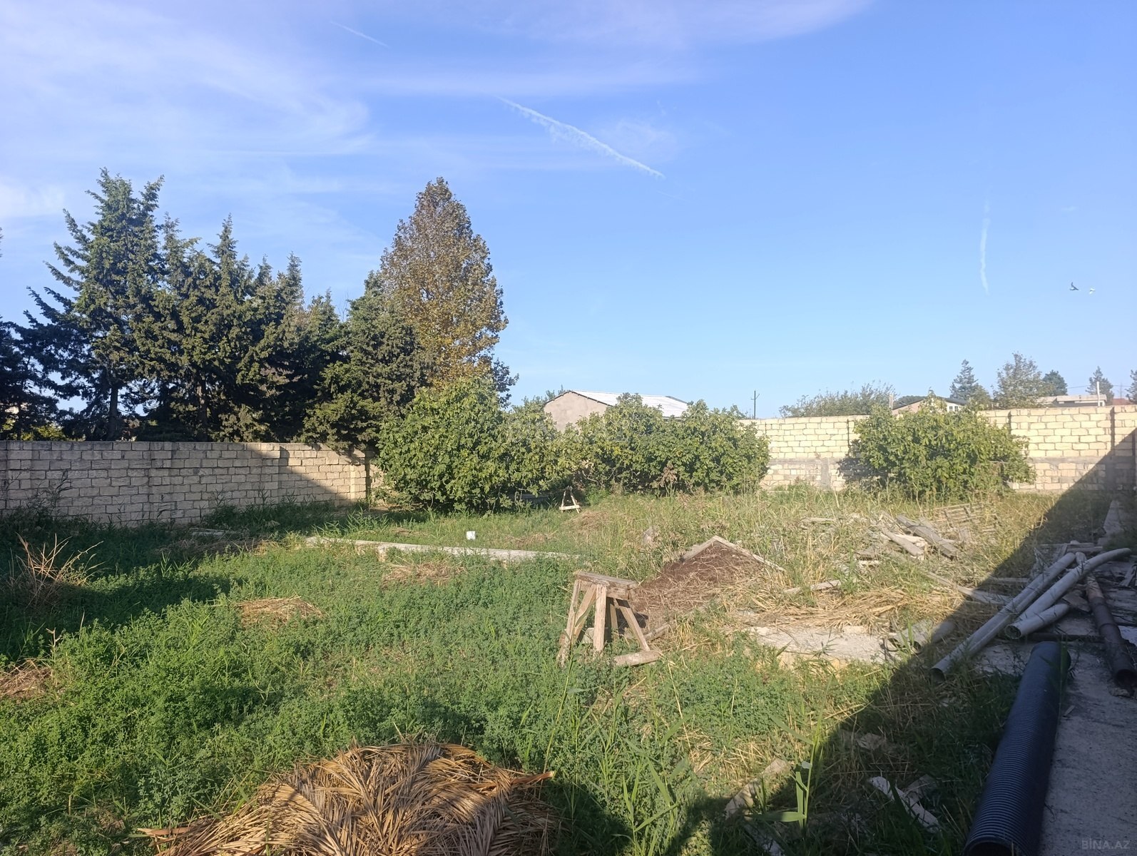 Torpaq Novxanı q., Bakı