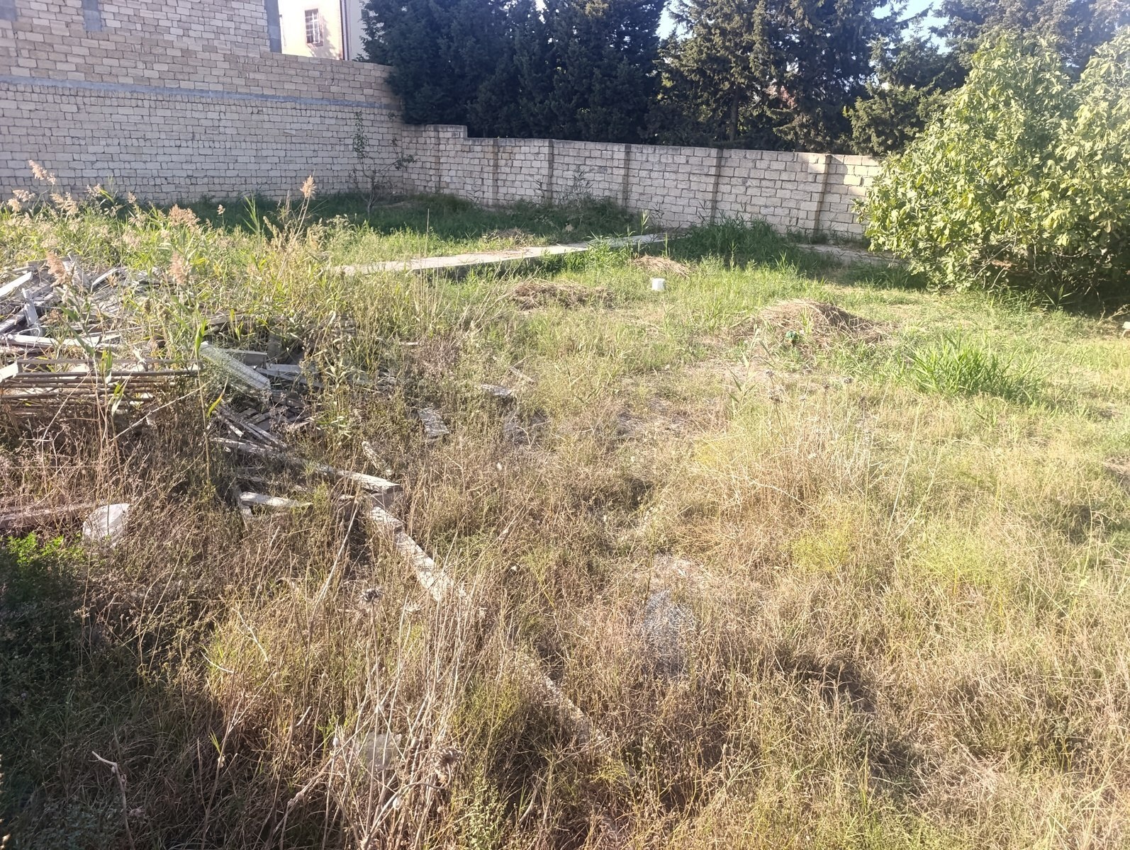 Torpaq Novxanı q., Bakı
