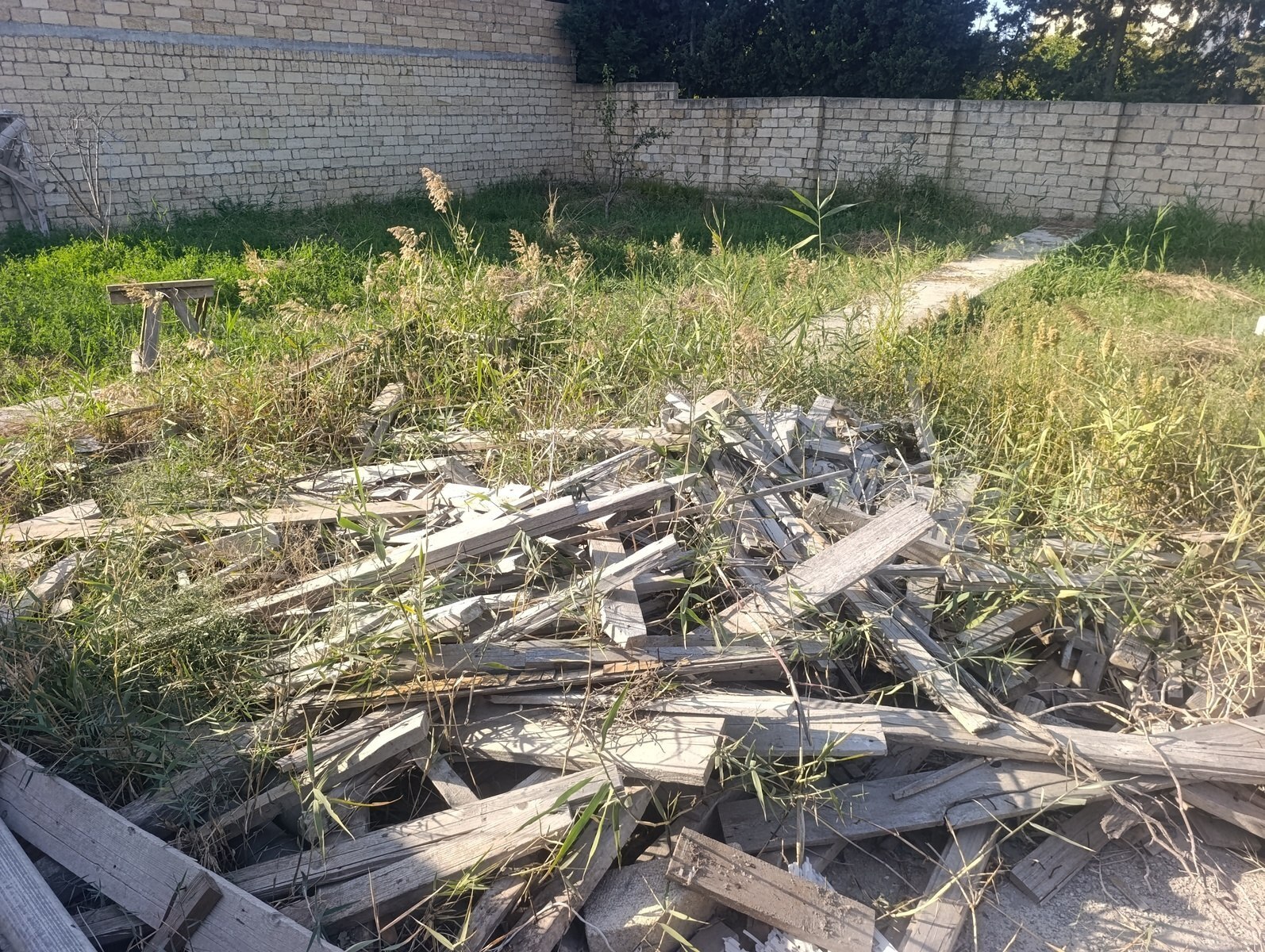 Torpaq Novxanı q., Bakı