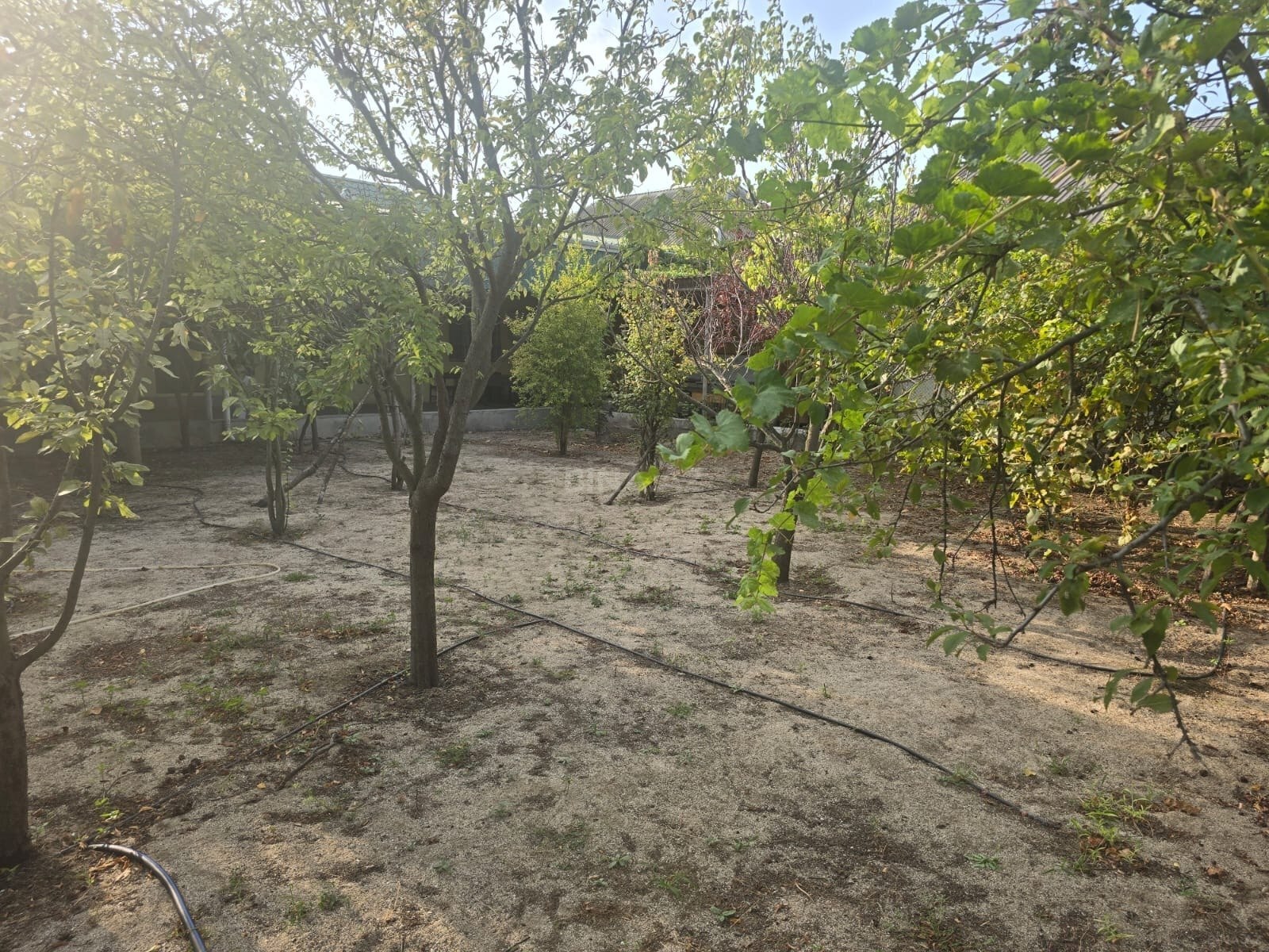 Həyət evi/Bağ evi Pirşağı q., Bakı