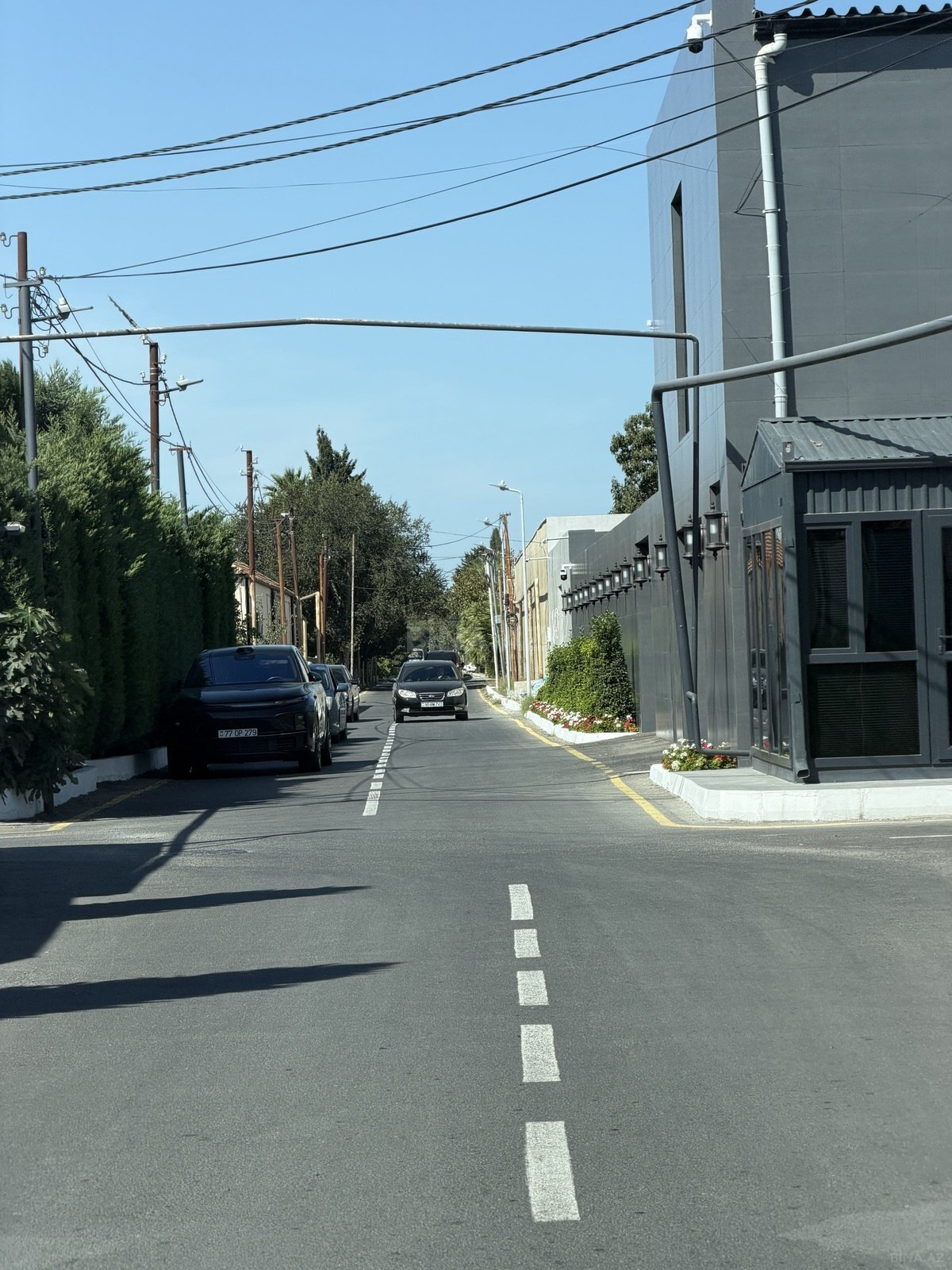 Torpaq Şüvəlan q., Bakı