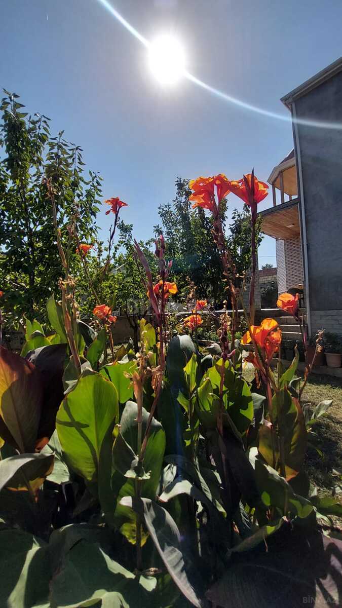 5 otaqlı Həyət evi/Bağ evi, Masazır q., Bakı