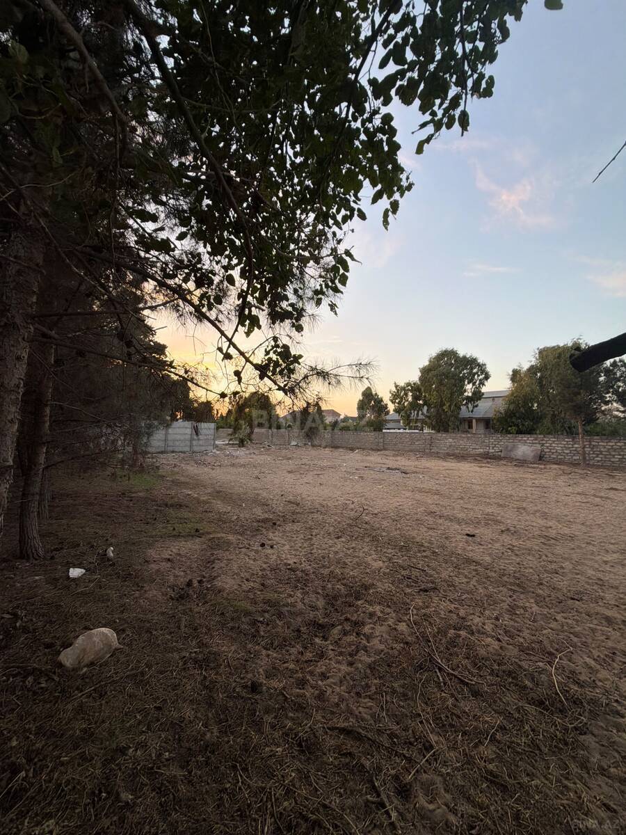 Torpaq Şüvəlan q., Bakı