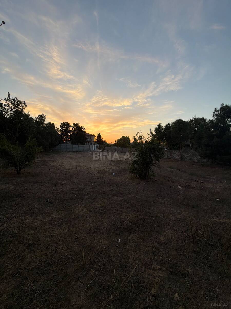 Torpaq Şüvəlan q., Bakı