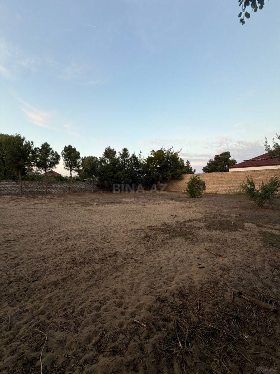 Torpaq Şüvəlan q., Bakı