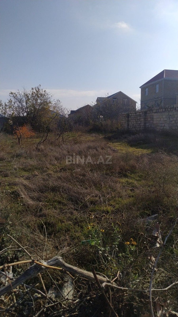 5.5 m², Saray